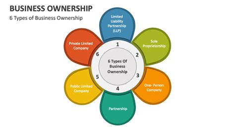 Business Ownership PowerPoint and Google Slides Template - PPT Slides