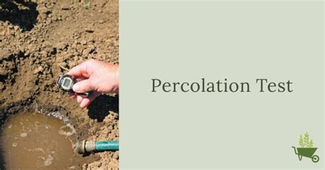 Percolation Test Grown By You