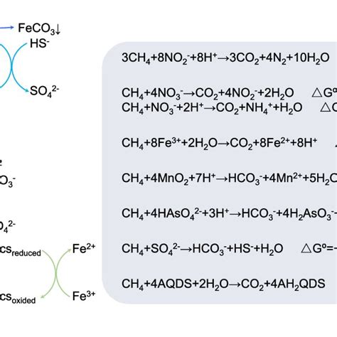 Pdf Role And Regulation Of Anaerobic Methane Oxidation Catalyzed By Nc10 Bacteria And Anme 2d