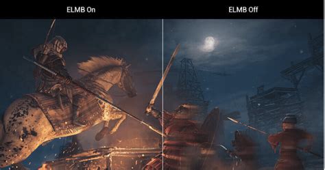 What is ELMB?
