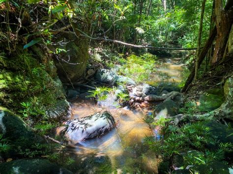 fileout jpg pustakapedia