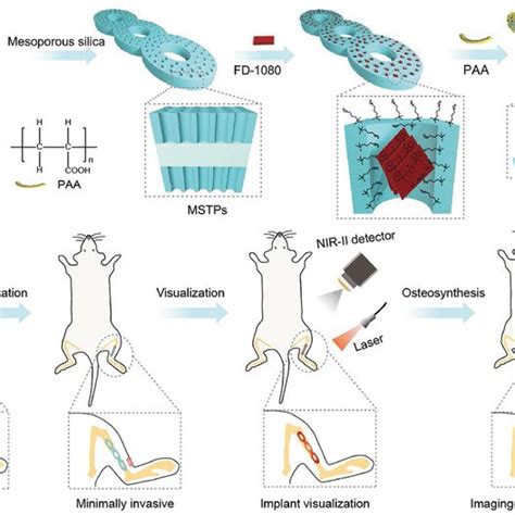 A Schematic Illustration Of The Preparation Of Nir‐ii J‐aggregates