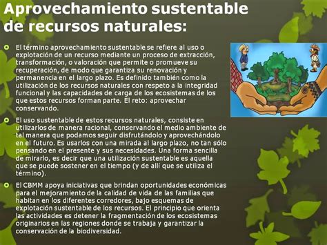 Papel de la biologia en la conservación de recursos naturales