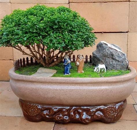 Pin By Suy Art On Casinhas In Miniature Fairy Gardens Garden