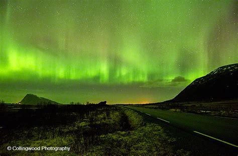 Tavicinity: Aurora Borealis in Lofoten Islands, Norway