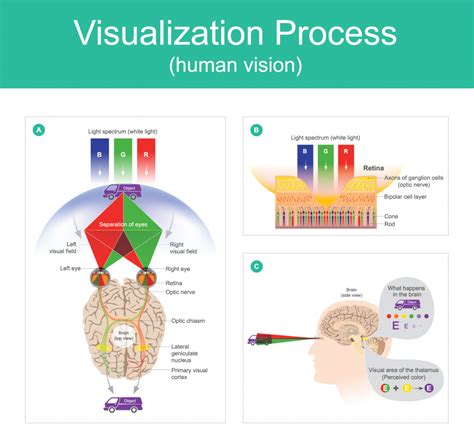 color exploring  wonders  human perception  vision color meanings