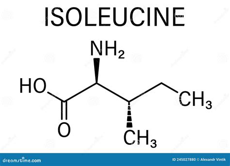 Isoleucine L Isoleucine Ile I Amino Acid Molecule Skeletal Formula