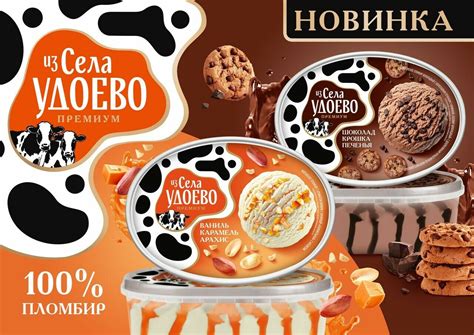 «Новинка: мороженое «Из села Удоево» для большой компании» - Сделано у нас