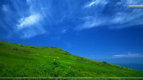 Sunny Sky Wallpaper - WallpaperSafari