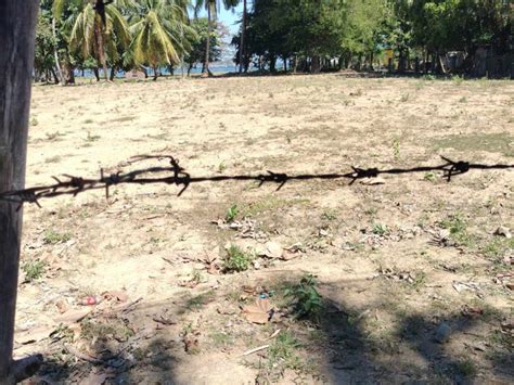 1.5 hectares Beach Property For Sale in Sual Pangasinan [Beach Properties 🏖️] (November 2024) in ...