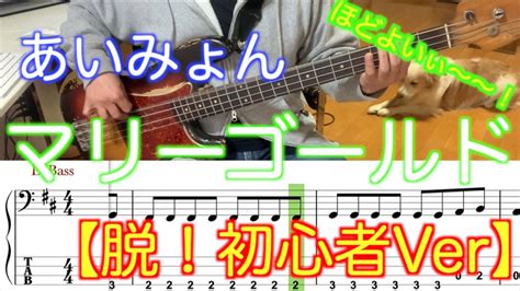 【脱！初心者】あいみょんマリーゴールド 【程よく簡単ver】5線譜andtab譜付き Youtube Music