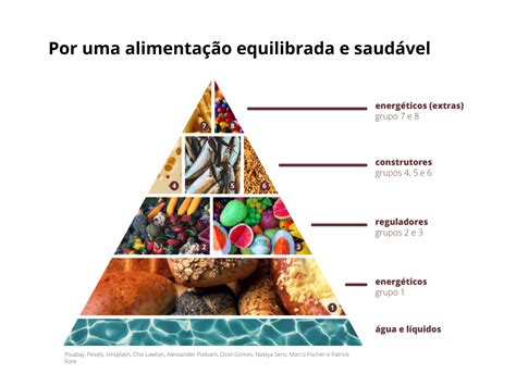 Plano de Aula 7º ano Ciências Calorias dos Alimentos