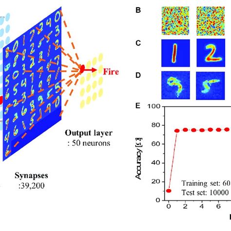 Pattern Recognition Simulation A Schematic Of A Single Layer