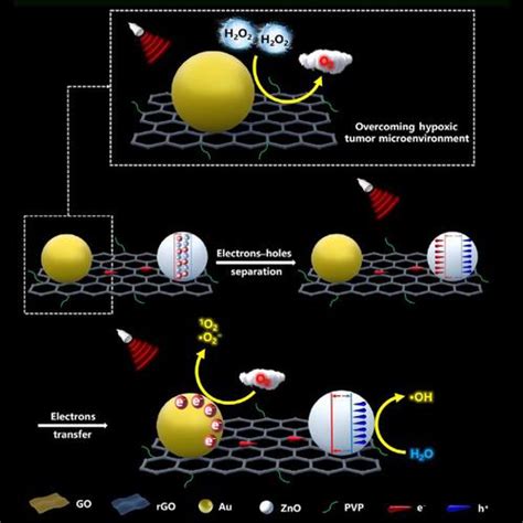 Integrating Au And Zno Nanoparticles Onto Graphene Nanosheet For