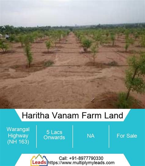 Farm House Land Plot For Sale 190 0 Sq Yards In Haritha Vanam Farm