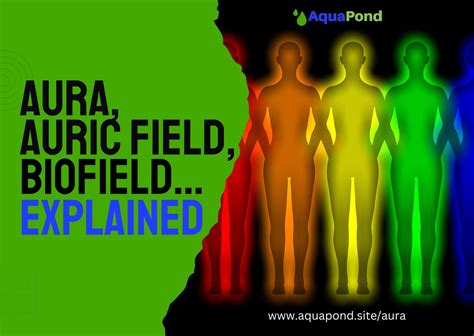 Aura, Auric Field And Biofield Explained | Aqua Pond