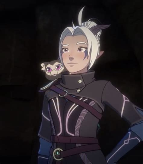 The Dragon Prince S4 Rayla Icon Nel 2024