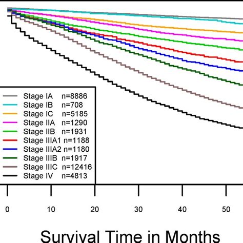 Cancer‐specific Survival Of Figo Stages Defined In The 5th Column In Download Scientific