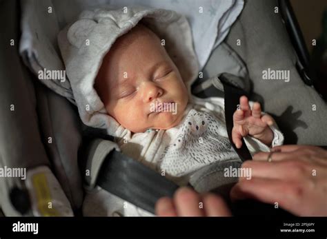 Portrait Of Newborn Baby Girl In Baby Stroller Stock Photo Alamy