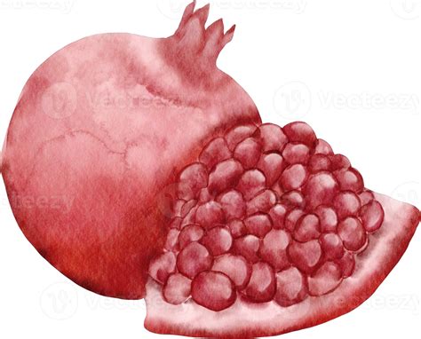 Watercolor Pomegranate Clip Art Png