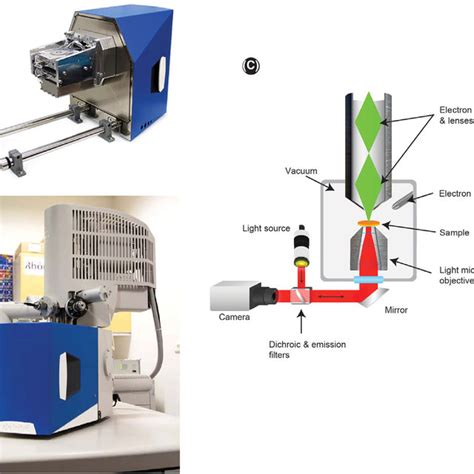 Correlative Light And Electron Microscopy Images Of The Same Field Of A