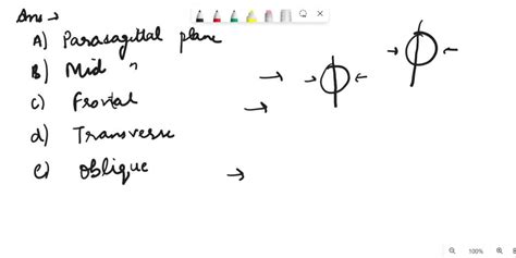 SOLVED A Plane That Divides The Body Into Unequal Left And Right