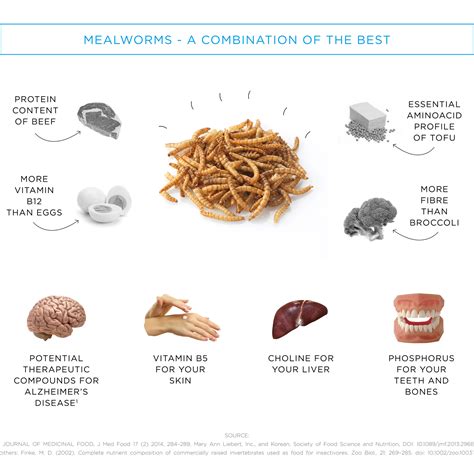 Mealworms Nutrition Facts - Nutrition Ftempo