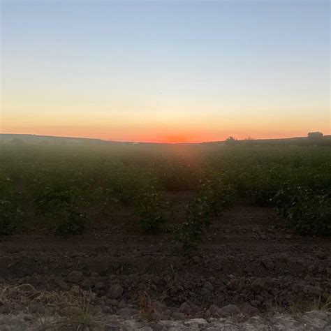 Taniusky S Profile Porn Vids Pics More ManyVids ManyVids