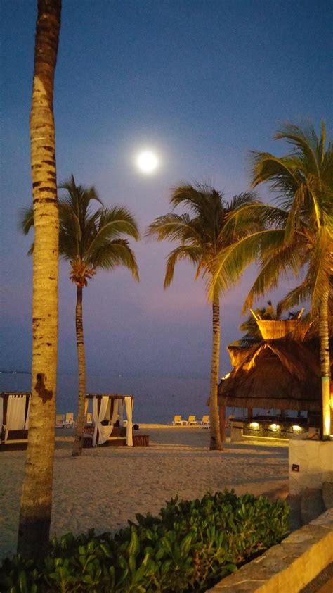 197 Best Cancun Mexico Images On Pholder Pics Earth Porn And Whatsthisbug