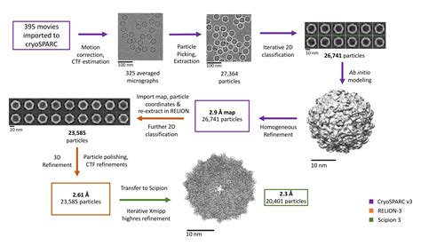 A Robust Single Particle Cryo Electron Microscopy Cryo EM Processing