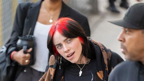 Billie Eilish Breaks Silence On David Enth Dating Report