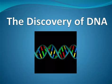 Ppt The Discovery Of Dna Powerpoint Presentation Free Download Id