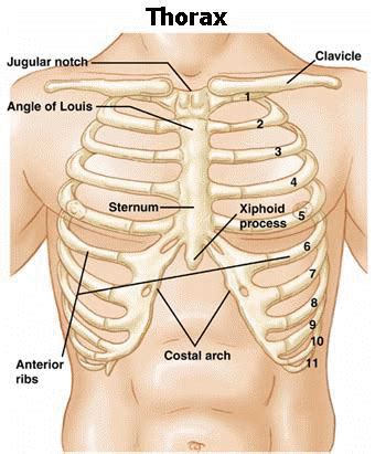 The CARE Course Home Critical Procedure Tension Pneumothorax The