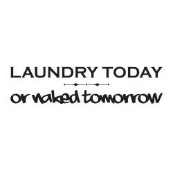 Laundry Today Or Naked Tomorrow