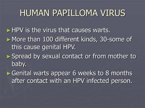 Ppt Human Papilloma Virus Hpv Powerpoint Presentation Free Download Id671606