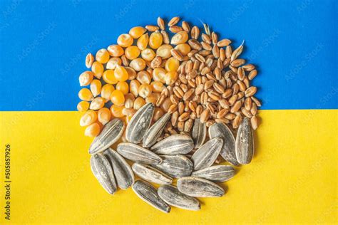 Wheat Grains Corn And Sunflower Seeds In A Circle On The Yellow And