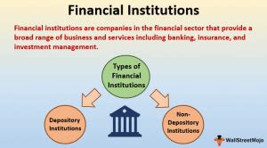 Financial Institutions (Definition, Example) | Top 2 Types