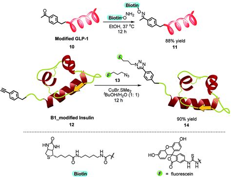 Selective N Terminal Functionalization Of Native Peptides And Proteins