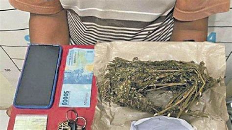 Kedapatan Bawa 12 Paket Ganja Di Tas Nelayan Lhokseumawe Diciduk