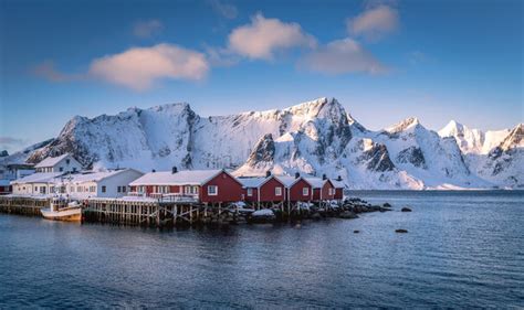 Rorbue Images – Browse 30 Stock Photos, Vectors, and Video | Adobe Stock