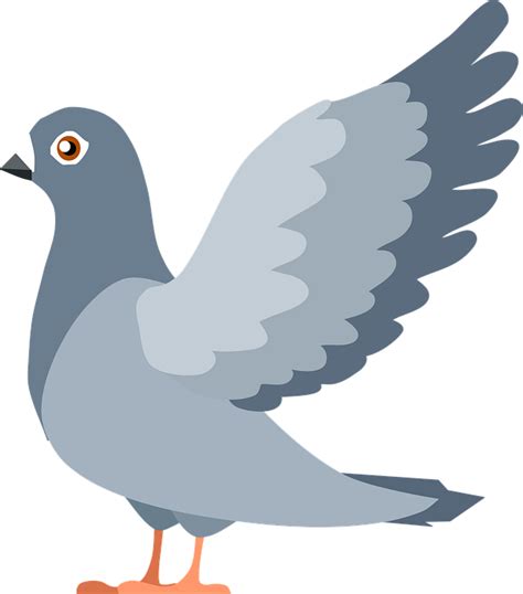 Download Pigeon Bird Flying Royalty Free Vector Graphic Pixabay