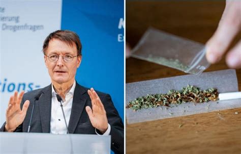 Cannabis Eigenanbau Besitzgrenze THC Gehalt Lauterbach Stellt