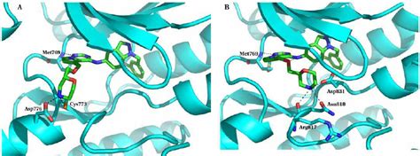 Predicted Binding Modes Of Compound Modeled In The X Ray Structure Of