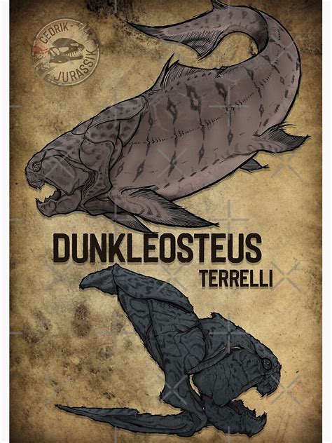 "Dunkleosteus skull & scale" Poster by JurassikBoutik | Redbubble