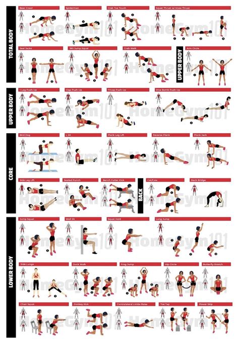 Dumbbell Workout Exercise Vol Fabric Canvas Poster Bodybuilding Guide