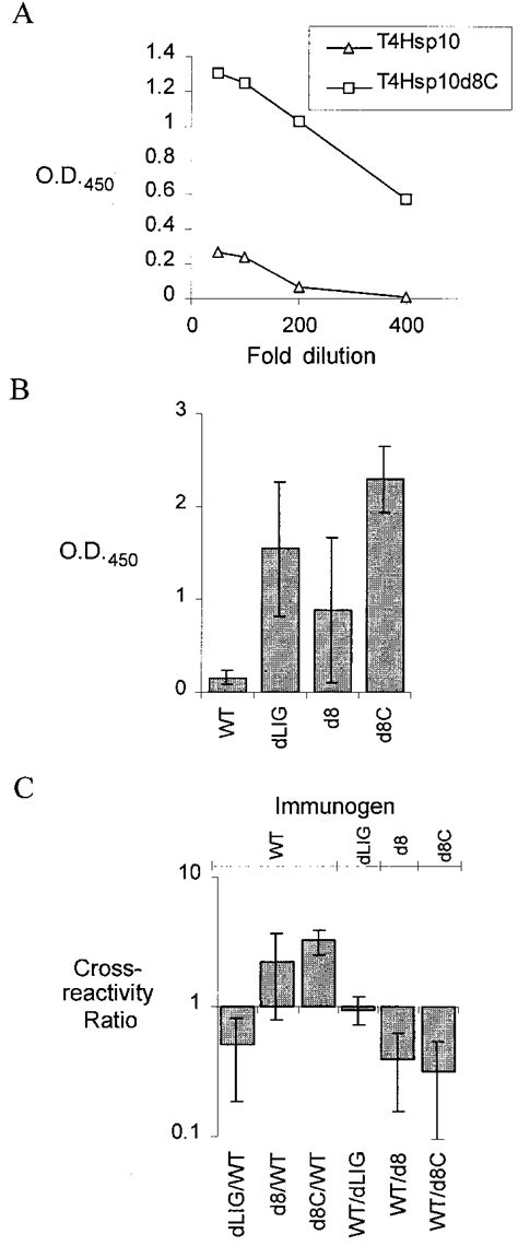 Reactivity And Cross Reactivity Of Sera From Mice Immunized With