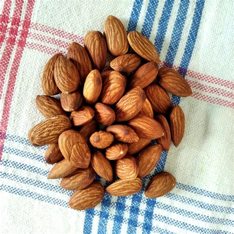 Almond Nut