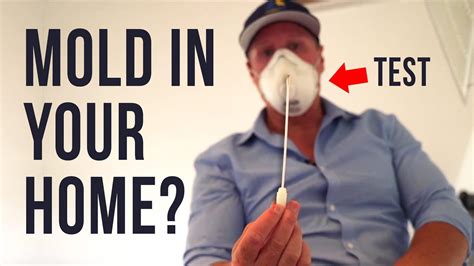 How To Test For Toxic Mold In Your Home Best Mold Test Kit To Use