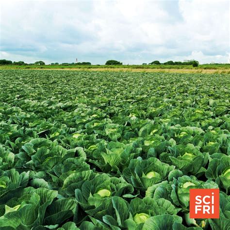 10% Of NOAA Staff Laid Off | Frozen Funds Leave Farmers In Limbo