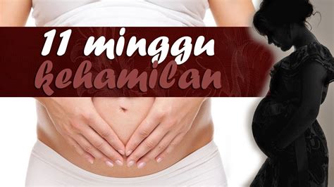 Apa Terjadi Pada Usia Kehamilan 11 Minggu Hamil 3 Bulan Janin 4 Cm